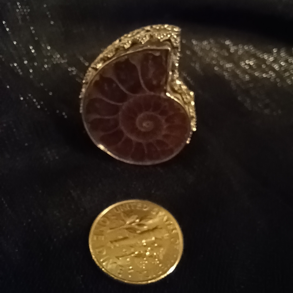 Fossil Ammonite Statement Ring - image 2